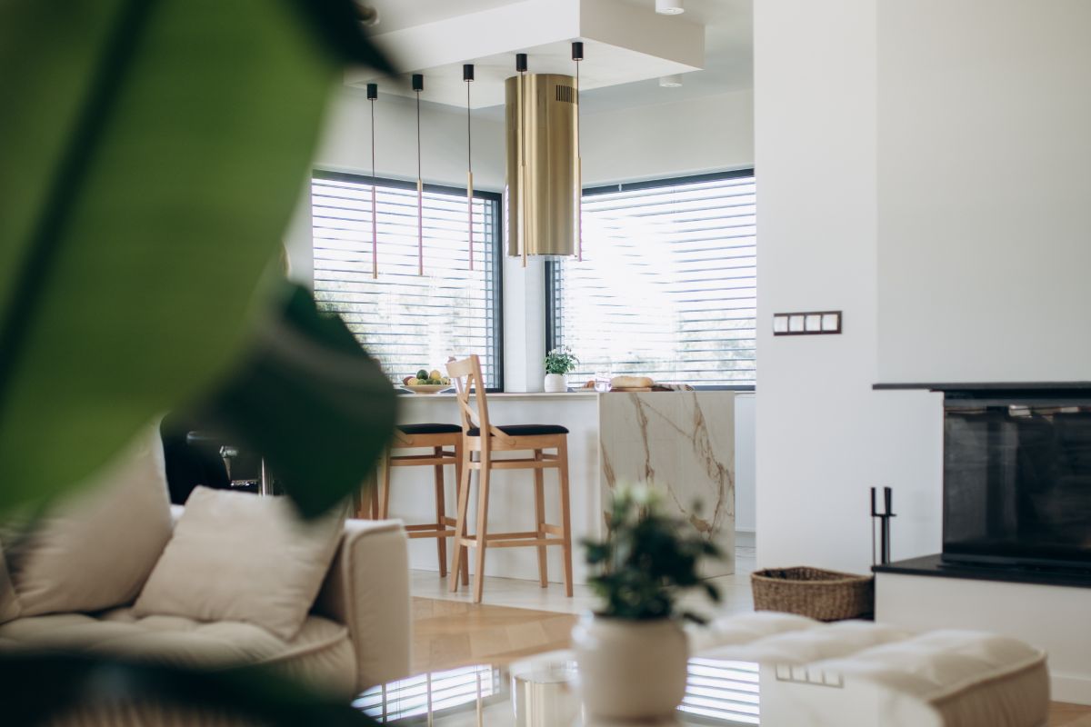 kitchen_with_golden_hood