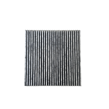 Kohlefilter FW 217 Long Life