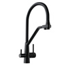 Kitchen faucet with water filter Olintio Black 1.1