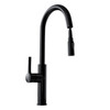 Kitchen faucet with pull-out spout GLOBALO Divio Black 1.1