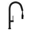 Kitchen faucet with pull-out spout GLOBALO Dervina Custom Black 1.1
