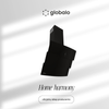 Cooker hood GLOBALO Vintio 60.2 Black