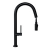 Kitchen faucet with pull-out spout GLOBALO Dervina Black 1.1
