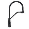 Kitchen faucet with water filter Olintio Black 1.1