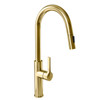Kitchen faucet with pull-out spout GLOBALO Divio Gold Mat 1.1
