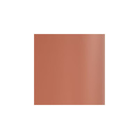 Color 1.1 Brick