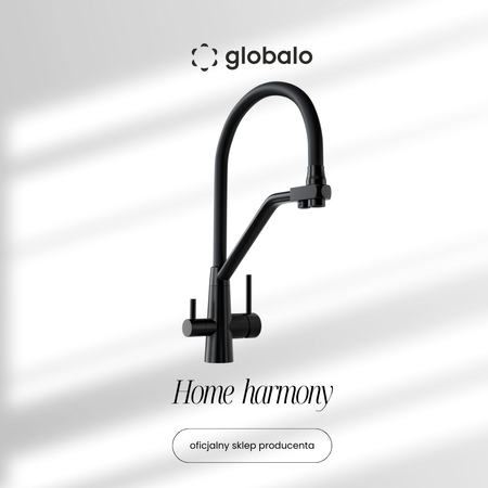Kitchen faucet with water filter Olintio Black 1.1