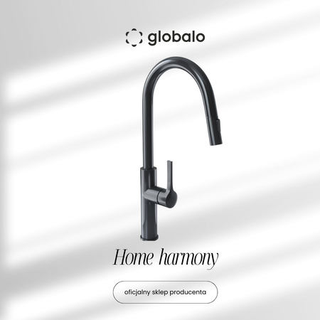 Küchenarmatur mit ausziehbarem Auslauf GLOBALO Divio Anthracite 1.1