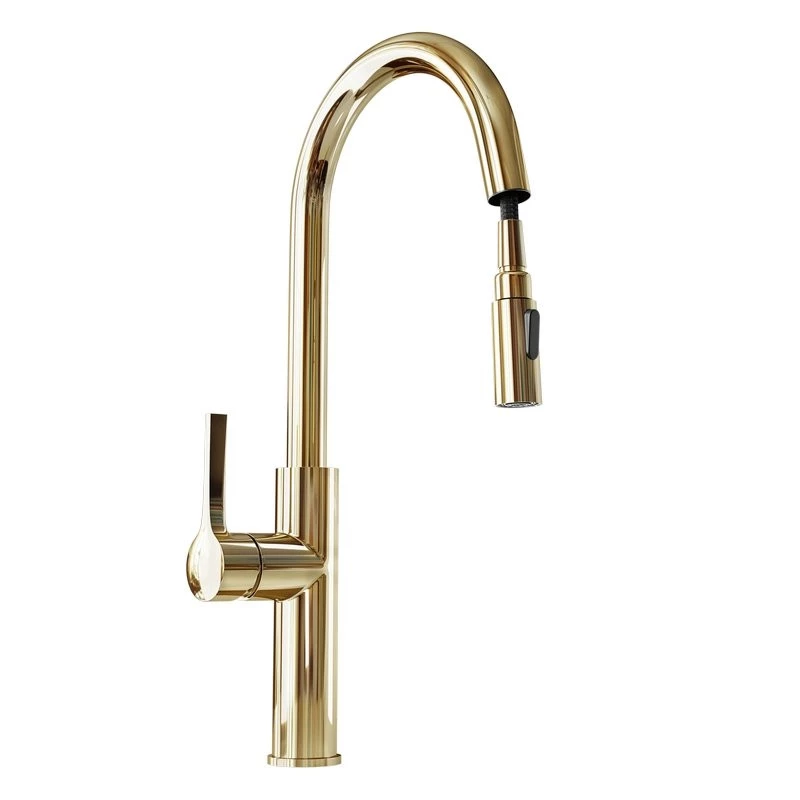 Küchenarmatur mit ausziehbarem Auslauf GLOBALO Divio Light Gold 1.1